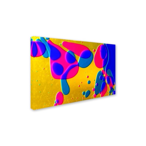 Beata Czyzowska Young 'Colour Fun I' Canvas Art,16x24